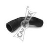 CAUTEX 486031 Radiator Hose